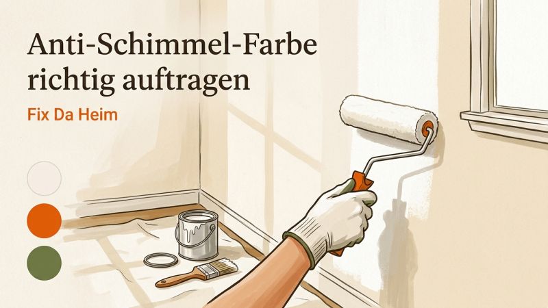 Anti Schimmel Farbe richtig auftragen – Anleitung 2026