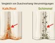 Duschvorhang reinigen: Kalk, Schimmel & die richtige Methode